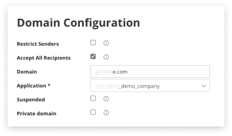 Captura de pantalla en blanco y negro de la configuración de dominio dentro de Email2SMS